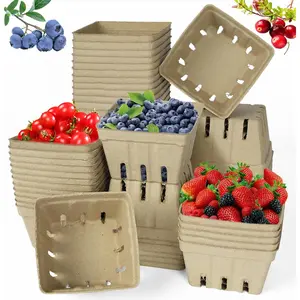 60 Pack  Pulp Fiber Berry Basket, Molded Produce Vented Kitchen Supplies for Strawberry Blueberry Raspberry, fruit baskets,berry containers,farmers market stand (Berry Basket (60 Pcs))