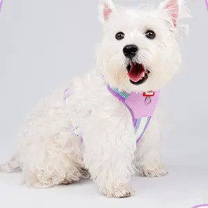 No-Pull H-Style Harness for Small & Medium Dogs Lightweight & Secure with Comfortable Padding Easy Buckle System Non-Customized (XS)