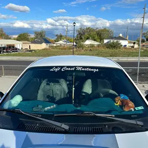 Windshield/Window Sticker