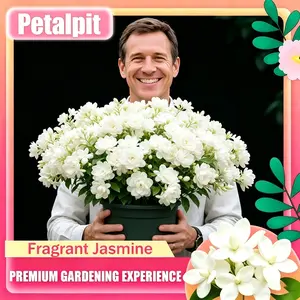 【BestSellerTop1】For 50 Non-GMO Fragrant Jasmine Seeds - Pleasant aroma, Suitable for Small Gardens, Patios, Balconies & Indoor Cultivation, Low-Maintenance Outdoor Ornamental Flowers, Top Choice for Horticulture
