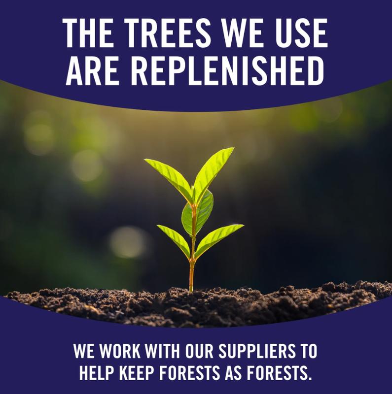 Tear-a-Square Paper Towels - 6 Double Rolls, 110 Sheets per Roll, 2-Ply, Multi-Purpose, Unscented, Toilets, Wipes, Cleaning Solutions