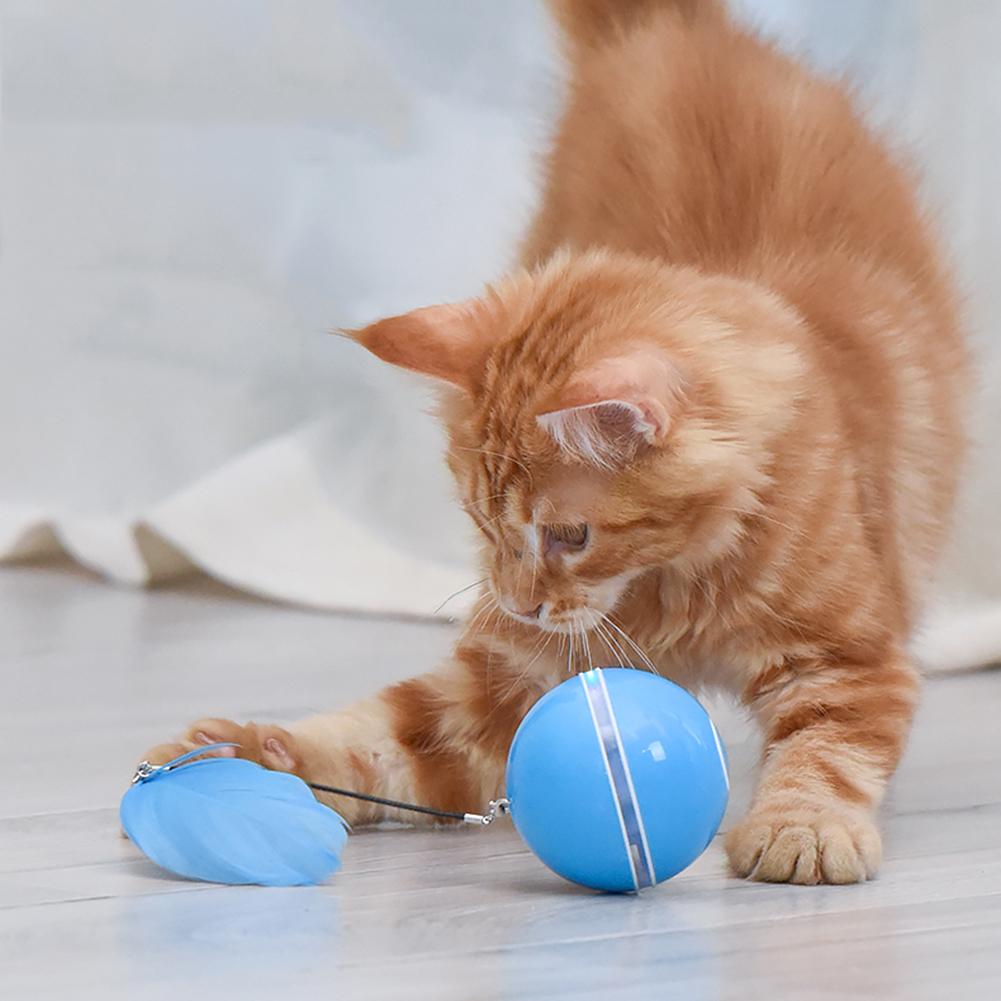 Cat Toy  LED Ball