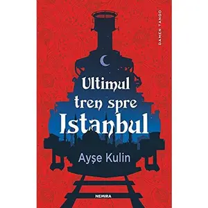 USED-Ultimul tren spre Istanbul - Ayse Kulin by Ayse Kulin (Paperback)