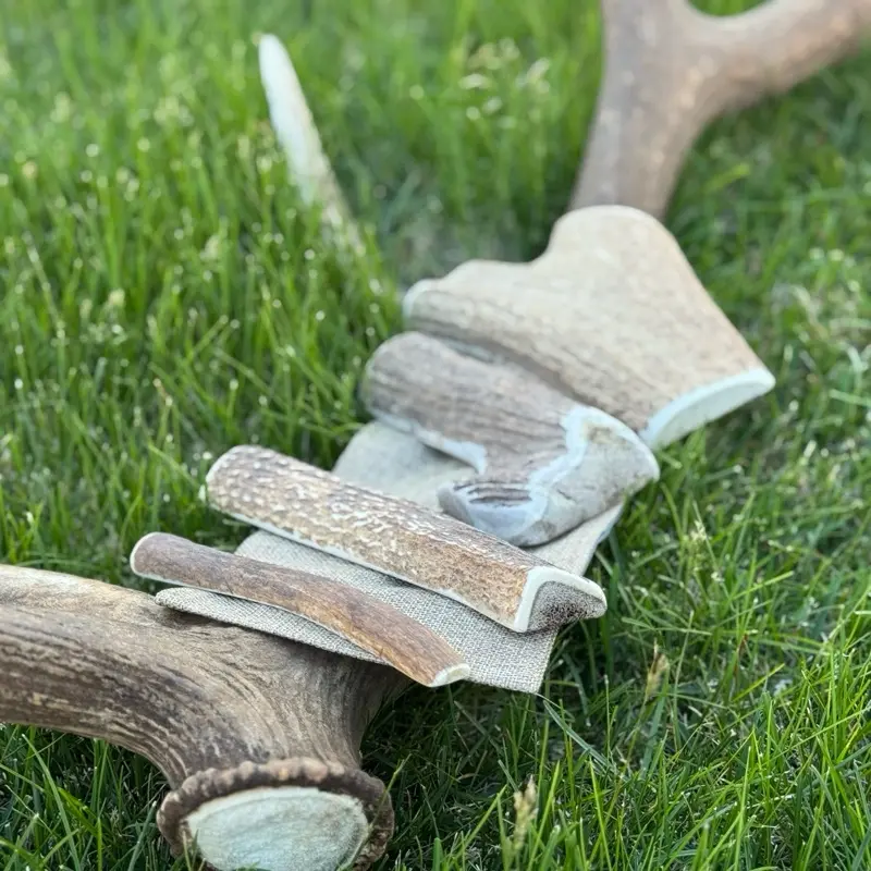 Elk antler dog chews