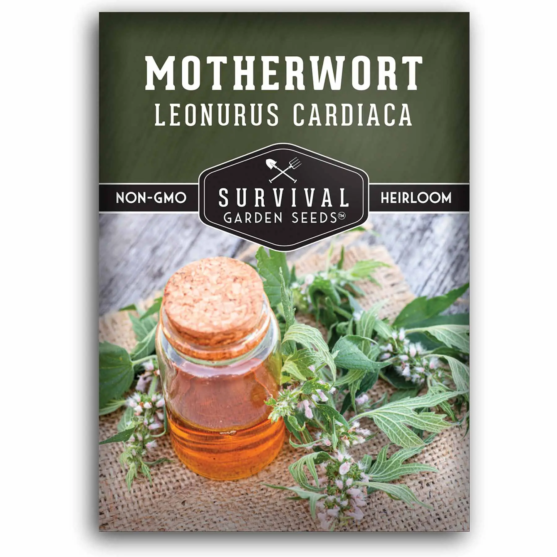 Motherwort Seeds - Lion’s Tail Motherwort Seeds - Lion’s Tail