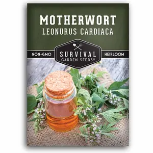 Motherwort Seeds - Lion’s Tail