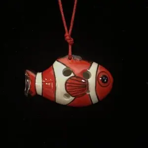 Nemo Fish