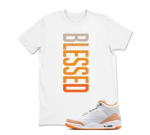 AJ 3 Orange Citrus Match Shirt, BLESSED Graphic Tee, 90s HipHop Tee, Gift For Women and Men, Unisex T-Shirt, Cozy Gift