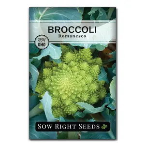 Romanesco Broccoli