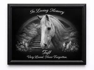 8x10 Framed Black Acrylic Rainbow Bridge Pet Memorial
