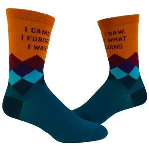 Women's I Came I Saw I Forgot What I Was Doing Socks Funny Introvert Sarcastic Graphic Novelty Footwear Funny Graphic Socks Comfortable Fitted Spandex Cotton