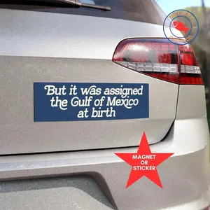Gulf of Mexico at birth, FDT sticker, idiot president, not my president, deport elon bumper sticker, against fascism car magnet, coexist