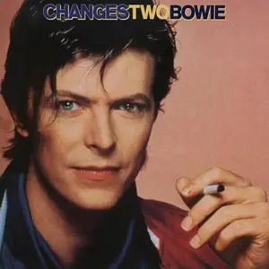 BOWIE,DAVID - CHANGESTWOBOWIE Vinyl LP