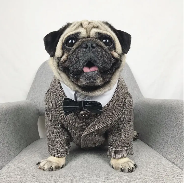 Paws For Royalty – Tuxedo Party Suit – Formal Wedding Outfit for Small Dogs & Cats