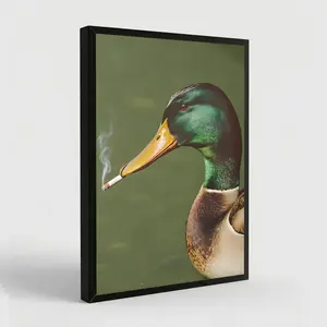 NBHYK Mallard Smoking Cigarette Vintage Poster Art Funny Duck Retro Whimsical Print 12x18 Inches Eco-Friendly Canvas Cabin Wall Decor - Decoration