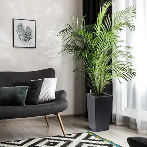 22.4 Inch Tall Rectangular Planters Set of 2 Large Modern Plant Pots with Drainage Holes&Water Level Monitor&Wheels Outdoor and Indoor for Patio, Porch, Living Room, or Home Office, Black