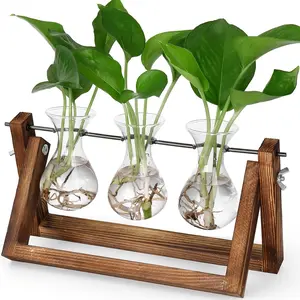 Propagation Stations, Terrarium with Retro Wooden Stand,  Gardening Birthday Gifts for Women  Lovers, Hydroponics   Office Garden Decor - 3 Bulb Glass Vases