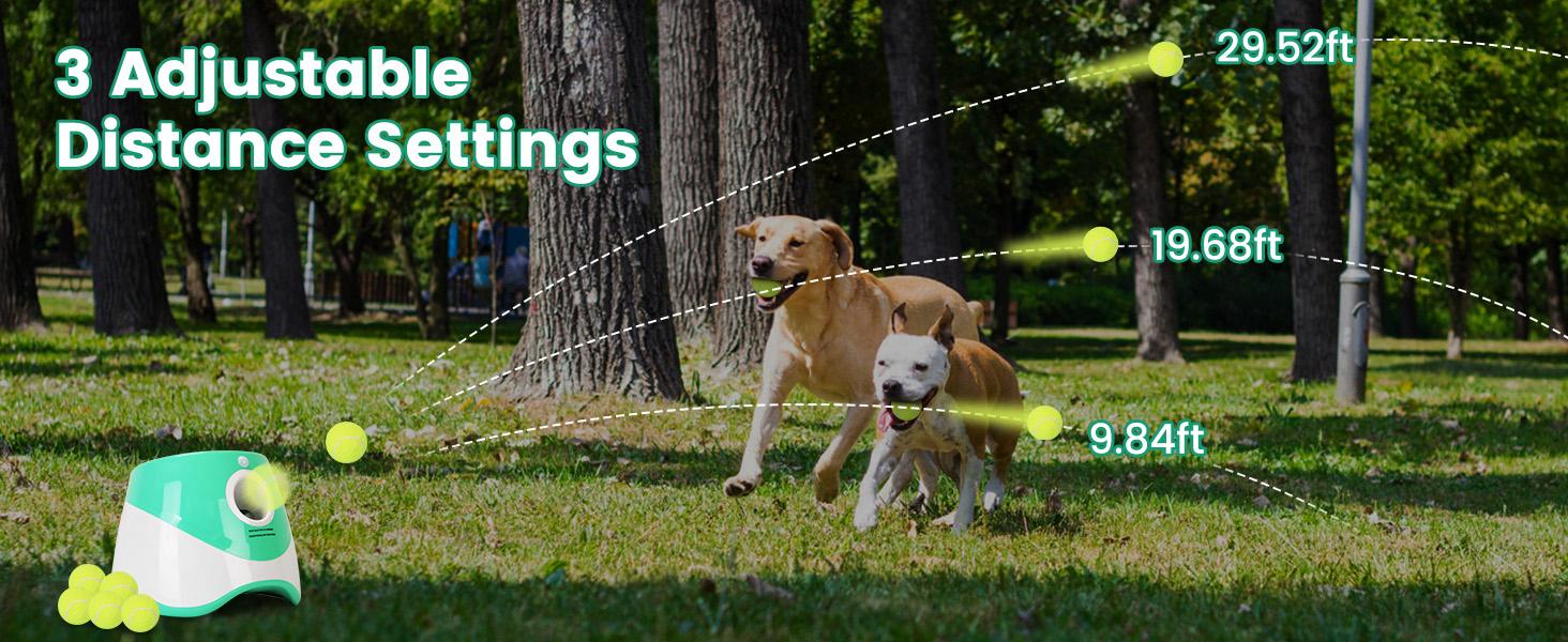Dog Ball Thrower Launcher, Automatic Ball Launcher with 6 Tennis Balls for Small Medium Dogs, 3 Adjustable Distance Settings, Rechargeable Dog Toy Mental Stimulation Training Game for Energetic Dogs