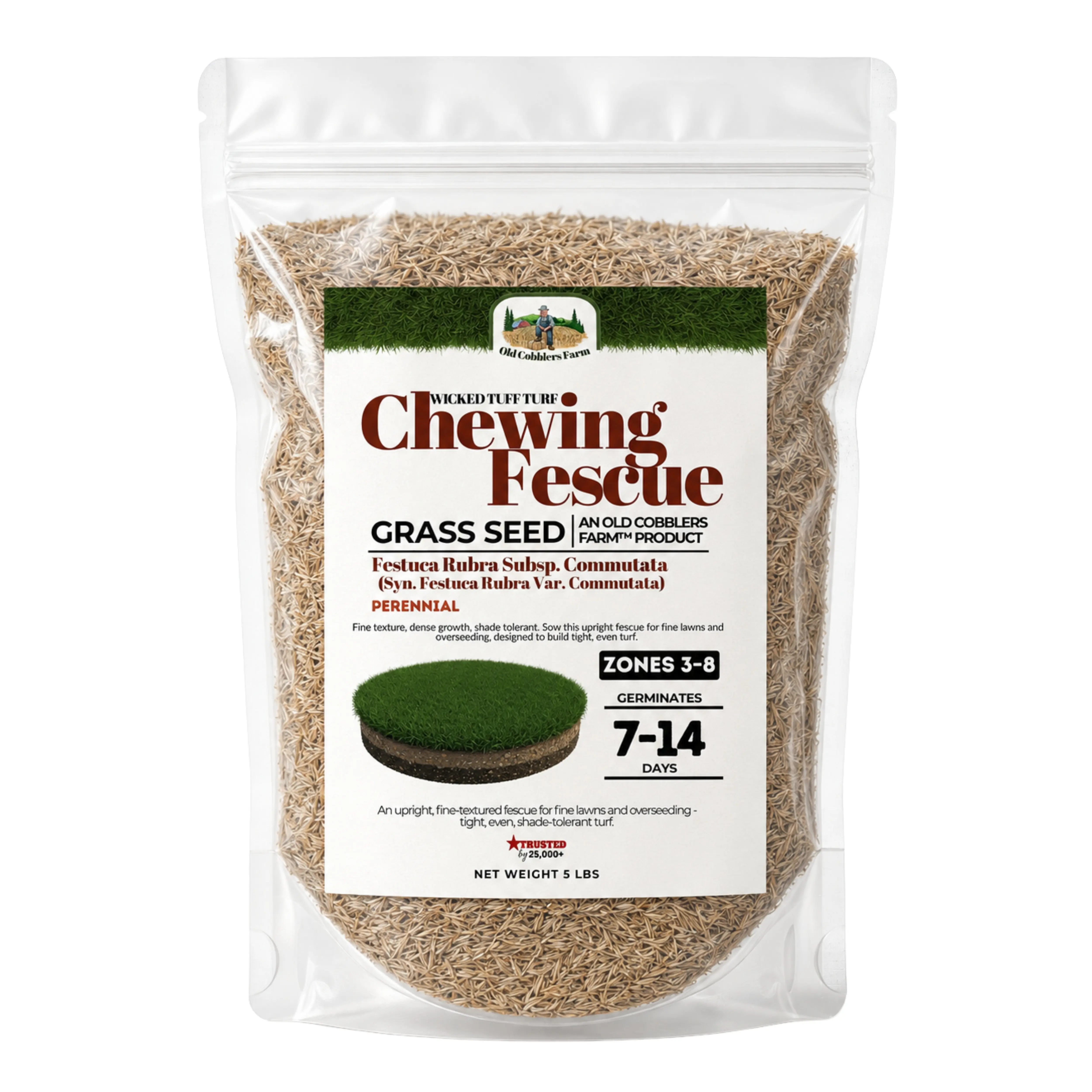 Old Cobblers Farm Wicked Tuff Turf Chewings Fescue Seed — Shade-Tolerant Dense Carpet-Like Fine-Bladed Cool-Season Lawn Grass for Close Mowing, Poor & Acidic Soil, Golf Roughs & Manicured Turf, Uncoated, USDA Zones 3–7