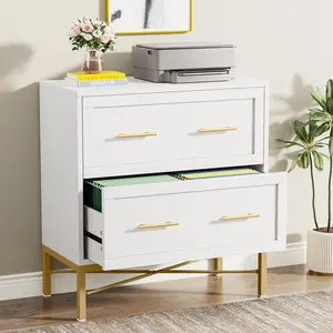 Tribesigns Modern White 2 Drawer File Cabinet with Large File Storage and Printer Stand for Home and Office