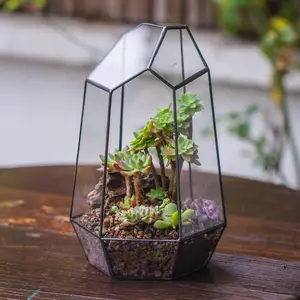 NCYP Handmade Geometric Terrarium, Open Container Pot for Plants, Succulents, Terrarium Only