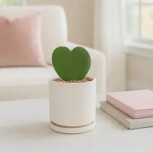 Cylinder Pot with Attached Saucer 4in/ 6in - Matte Black/ White