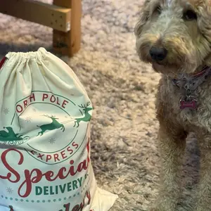 Custom Santa Sacks - Express Delivery Design for Festive Season