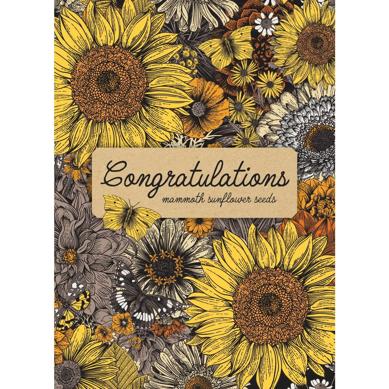 Congratulations Warm - Mammoth Sunflower Seed Packets
