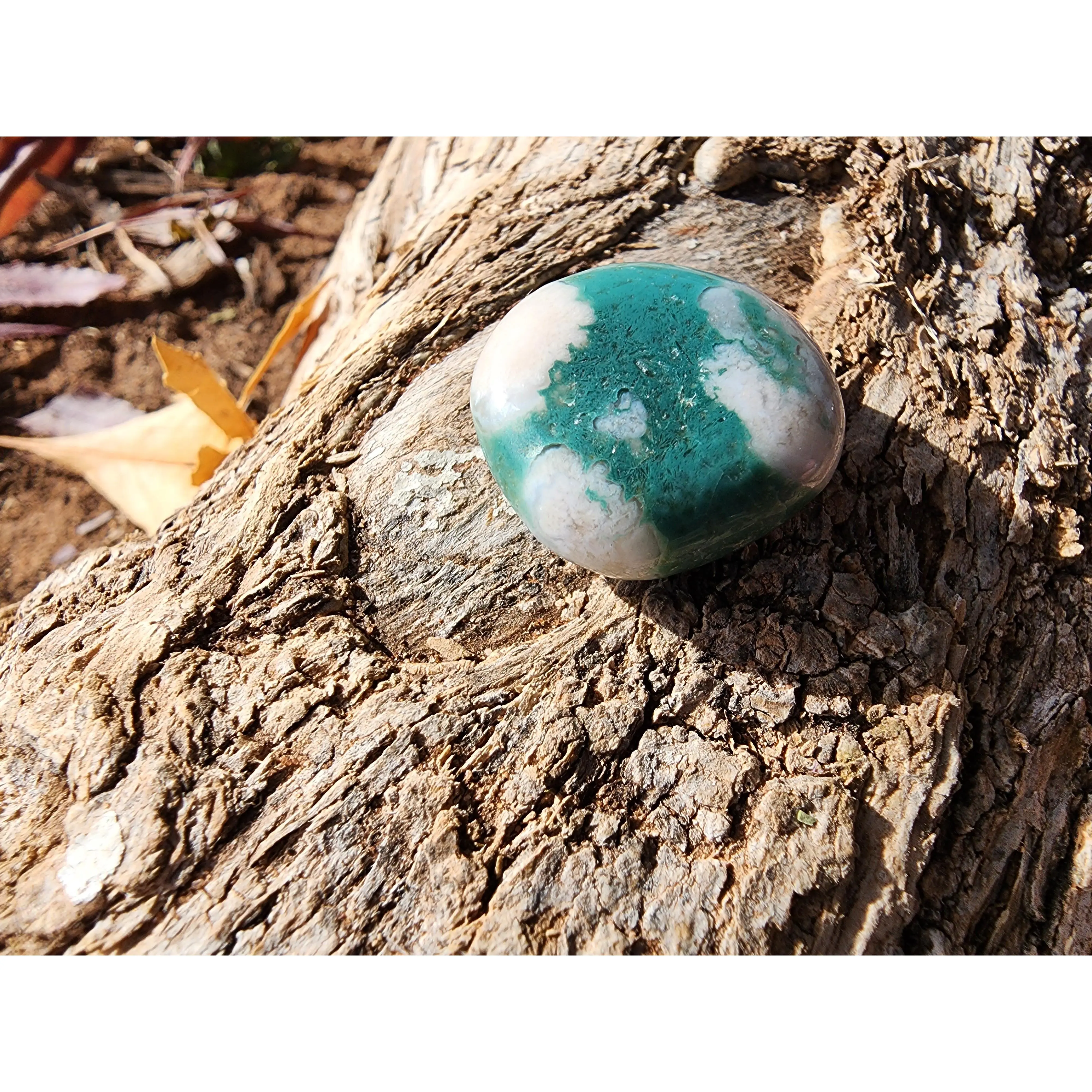Tumble - Green Flower Agate - Multiple Size Options