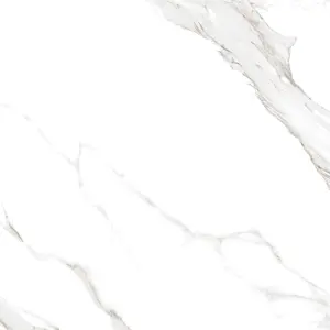 Satvario Calacatta 12x24