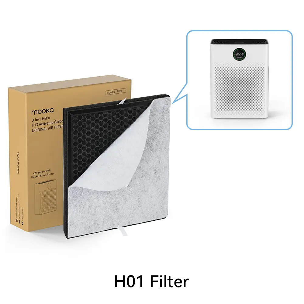 H01 Filter