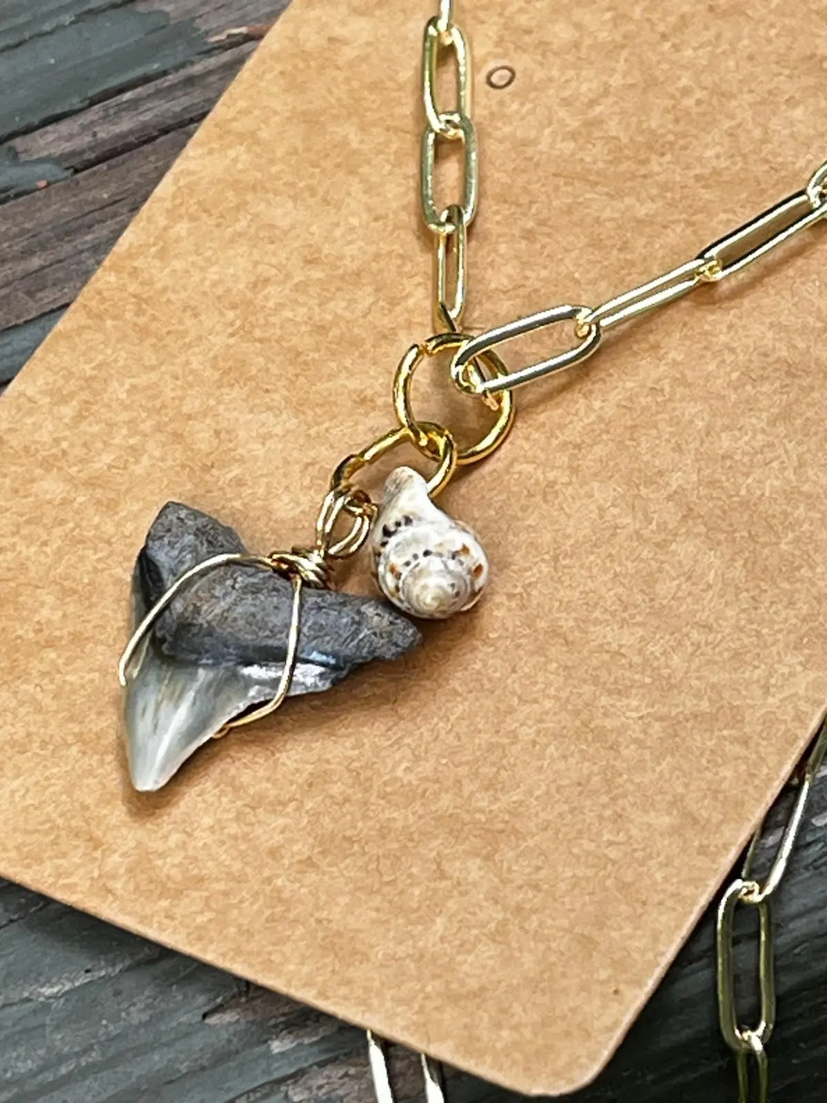 Shell & Stone Necklace — Natural Shark Tooth & Seashell, Gold Paperclip Chain | Fossil Shark Tooth Jewelry | Venice FL Collection