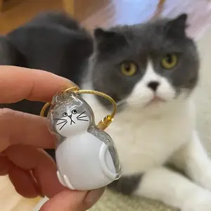 Custom Cat Fur Memorial Necklace - Turn Your Cat's Hair into Personalized Jewelry, Transparent Pet DNA Keychain for Grieving Cat Parents, Unique Sympathy Gift for Loss of Beloved Pets