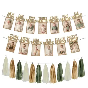 1st Birthday Milestone Photo Banner Set, Sage Green & Pink Newborn to 12 Months Picture Frame Banner with Tassels, Boho Baby First Birthday Party Supplies, Party Decorations Banners