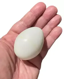 3 PLASTIC HOLLOW EGGS White Dove Chicken Prop Gag Trick Deluxe Magician Toy Bag