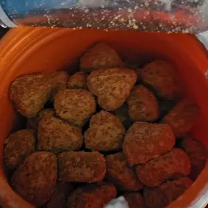 Product Review of Zesty Paws Probiotic Bites for Dogs - Canine Nutritional Supplement with Six Probiotics for Gut Health & Immune Function from ** 🄼**🅈 ♡**D **