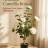 23.6-in (60cm) Adjustable Potted Faux Camellia Tree - Low Maintenance Decorative Artificial Shrub with Realistic Blooms, Soft Flower Hues, Botanical Aesthetic, Floral Design for Indoor Living Room, Outdoor Porch/Front Door Home Decor