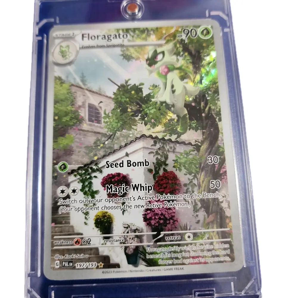 Pokemon Paldea Evolved Floragato Card with Seed Bomb & Magic Whip Abilities  for Collectors - TikTok Shop