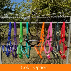 Bling Nylon Horse Halter - Assorted Colors