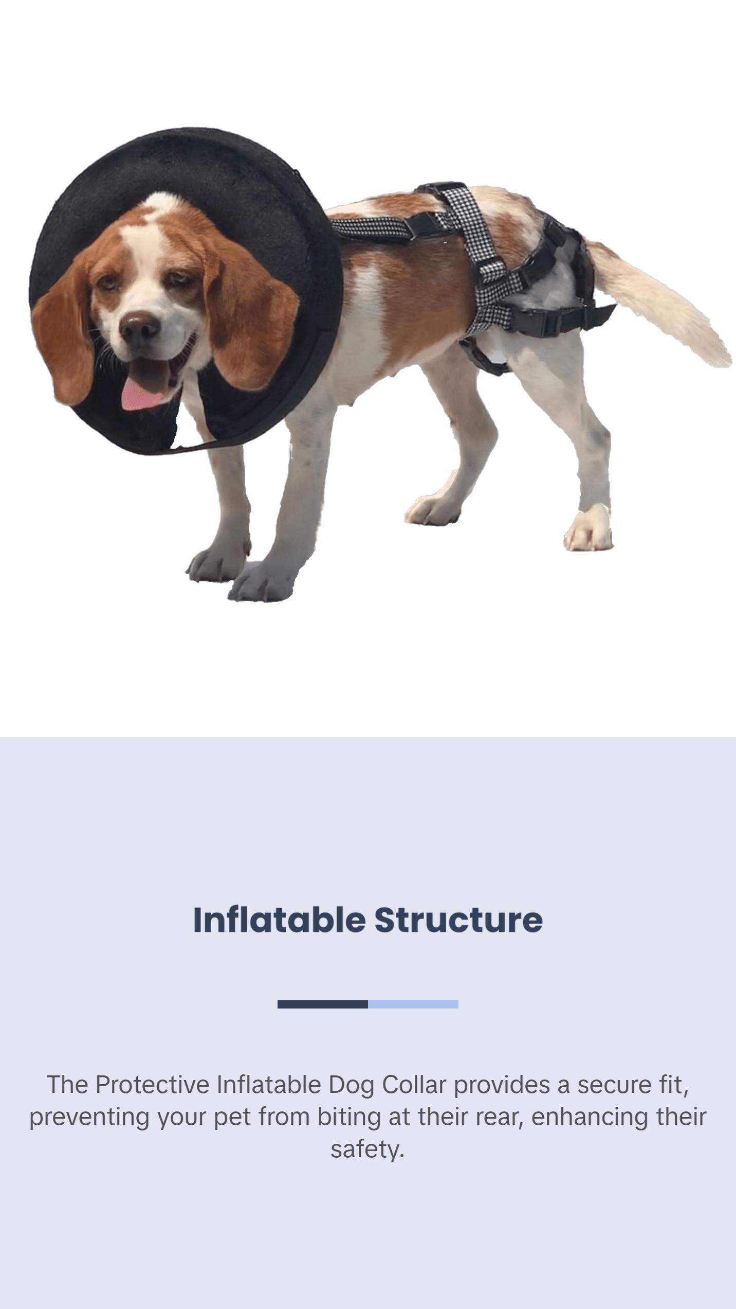 Protective Inflatable Dog Collar for Stopping Bite-Offs