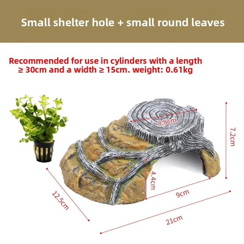 [Sun Platform] Small size + small round-leaf aquat