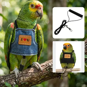 2 Pack Parrot Harness & Leash - Anti-Flight Soft Rope for Cockatiel, Parakeet & Lovebird, Lightweight for Outdoor