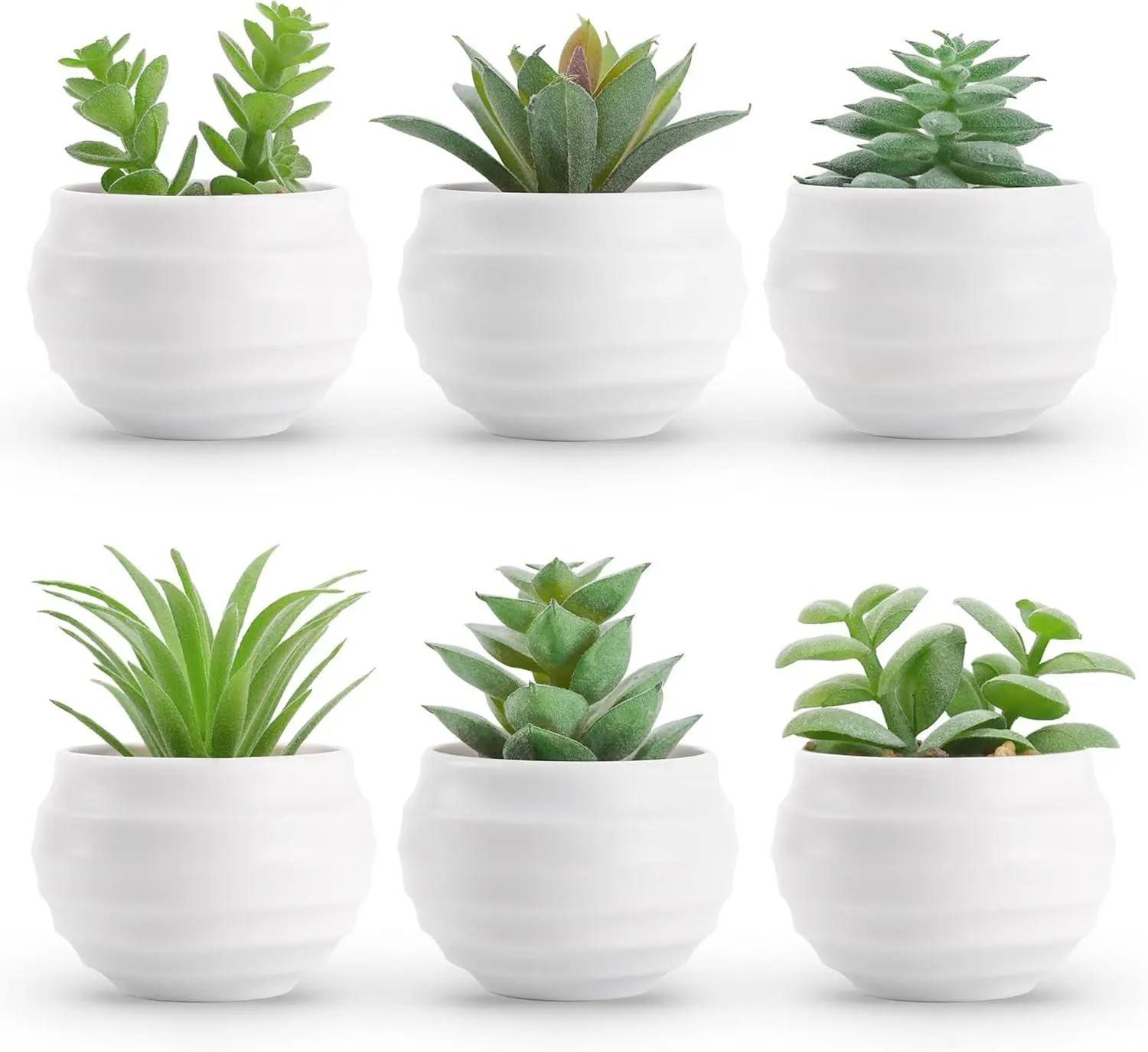 Set of 6 Succulents Plants Artificial in Pots Small Fake Plants for Bedroom Aesthetic Living Room Shelf Bathroom Decor
