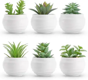 Set of 6 Succulents Plants Artificial in Pots Small Fake Plants for Bedroom Aesthetic Living Room Shelf Bathroom Decor