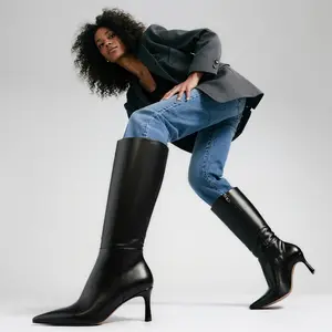 Kitten Heel Knee High Boots for Women Pointed Toe 2.56" Mid Heel Tall Boots with Side Zipper