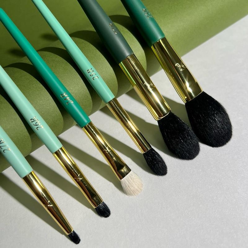 Travel Kit 6 Makeup Brushes in Faux-Leather Clutch for Safe and Clean Storage and Portability