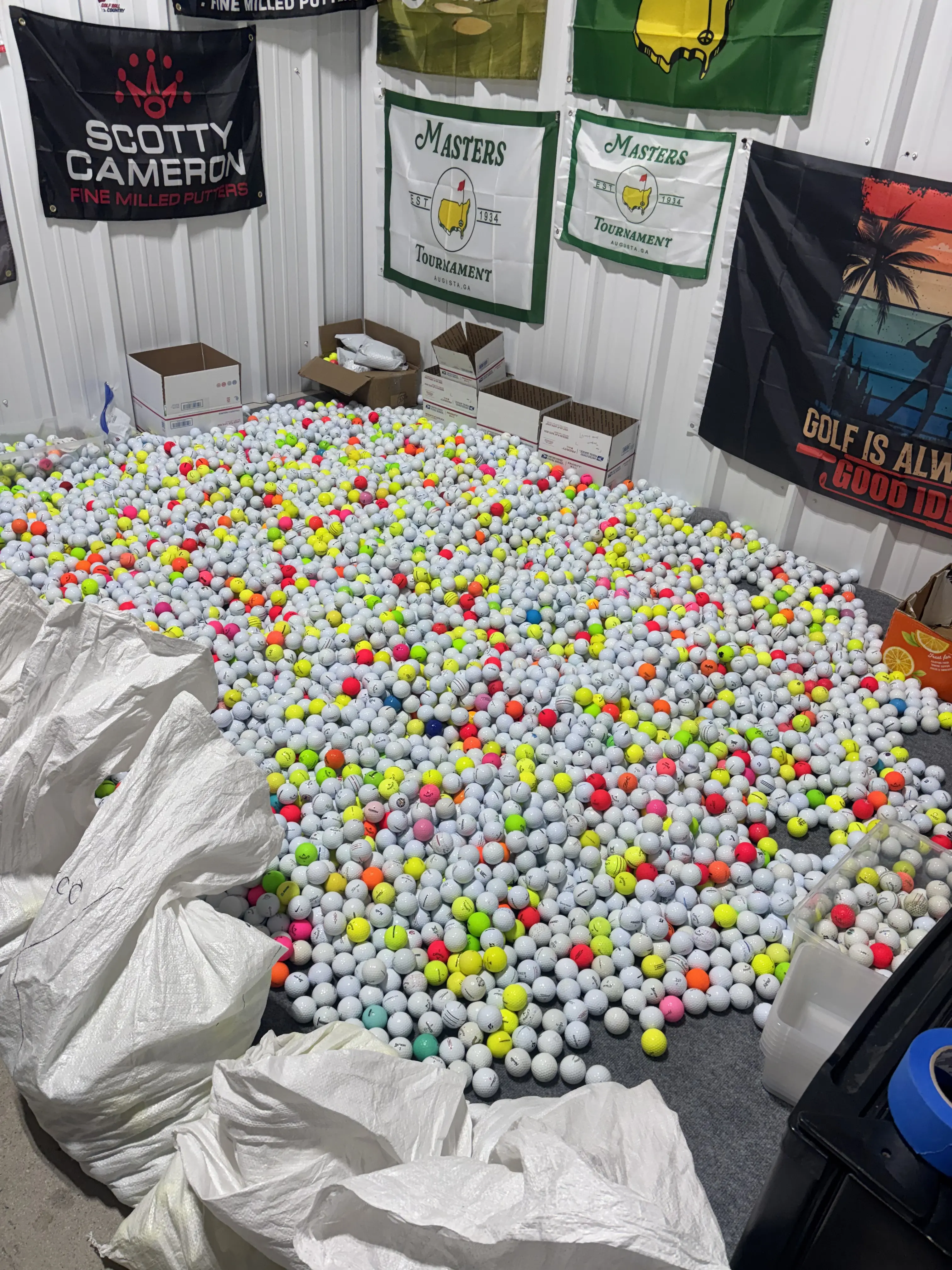 1 dozen golf balls as seen