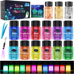 Glow in The Dark Pigment  - 12 Colors Luminous  20g/0.7oz and 3 Colors  Foil Flakes 2g, Epoxy  Luminous  for  Art, Slime,  Art,   and DIY Crafts