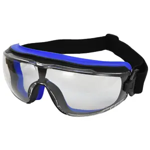 Radians LPX IQuity Goggle Clear IQ Anti-Fog Lens