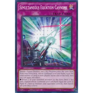 Simultaneous Equation Cannons | LEDE-EN080
